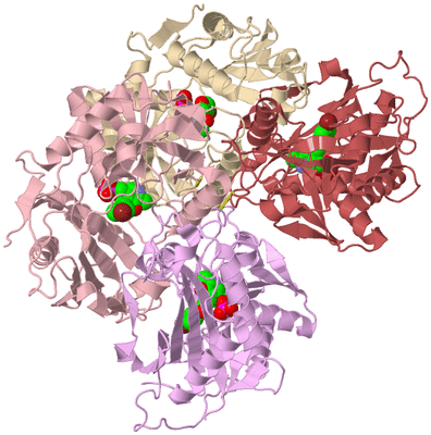 Image Biological Unit 2