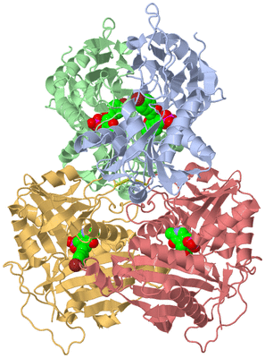 Image Biological Unit 3