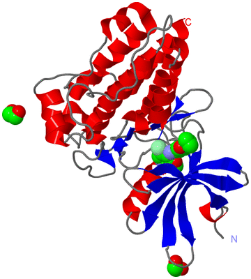 Image Asym./Biol. Unit