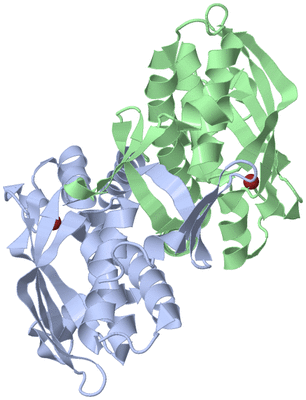 Image Asym./Biol. Unit