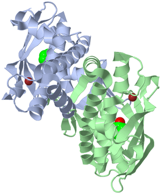 Image Asym./Biol. Unit