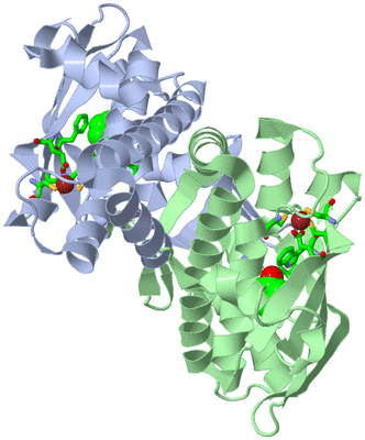 Image Asym./Biol. Unit - sites