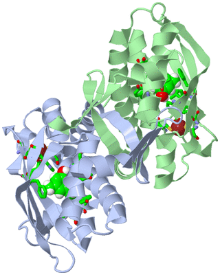 Image Asym./Biol. Unit - sites