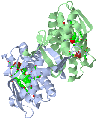 Image Asym./Biol. Unit - sites