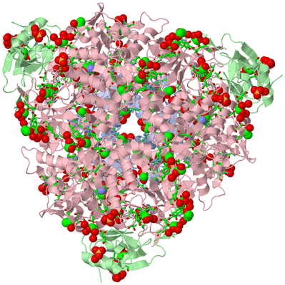 Image Biol. Unit 1 - sites