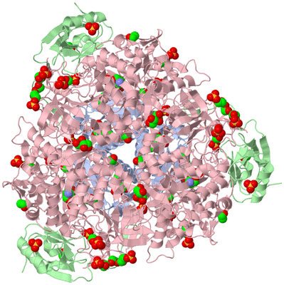 Image Biological Unit 1