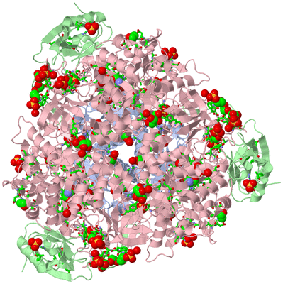 Image Biol. Unit 1 - sites