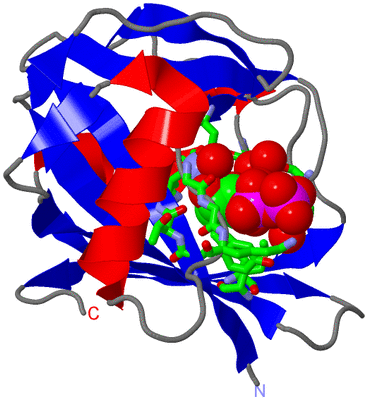 Image Asym./Biol. Unit - sites