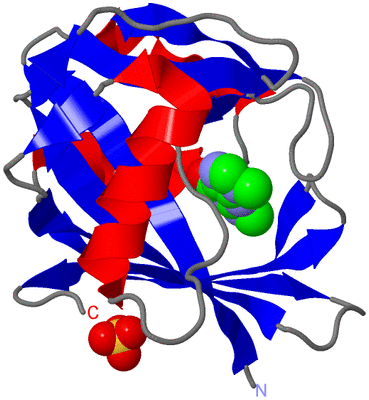 Image Asym./Biol. Unit