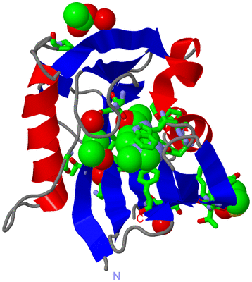 Image Asym./Biol. Unit - sites