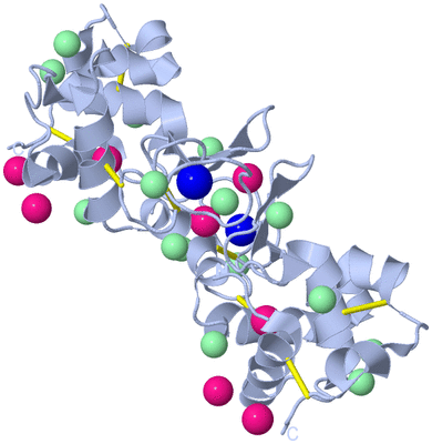 Image Biological Unit 1