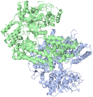 Image Biological Unit 1