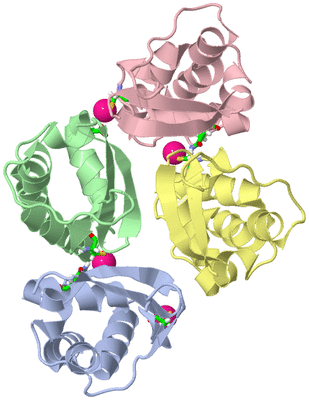 Image Asym./Biol. Unit - sites