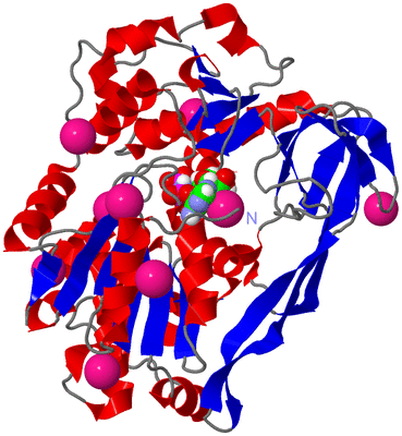 Image Asym./Biol. Unit