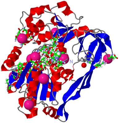 Image Asym./Biol. Unit - sites