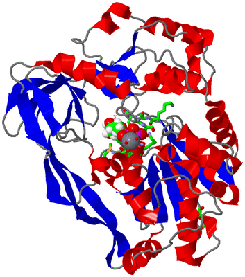 Image Asym./Biol. Unit - sites