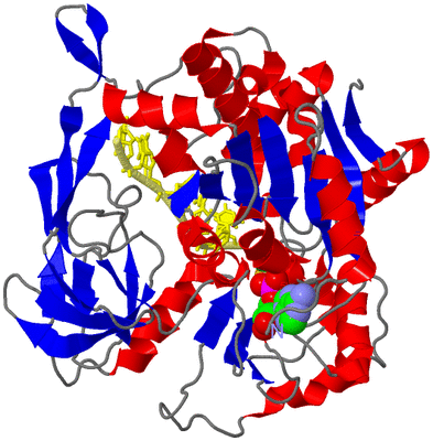 Image Asym./Biol. Unit