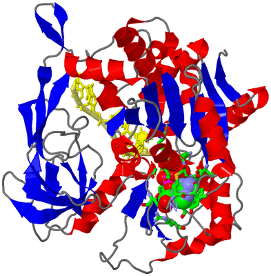 Image Asym./Biol. Unit - sites