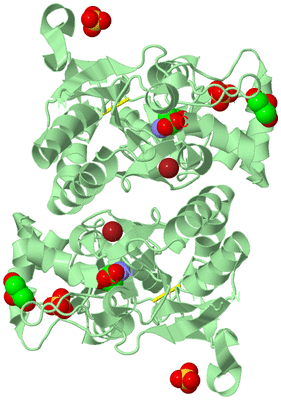 Image Biological Unit 2