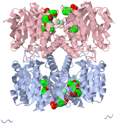 Image Biological Unit 1