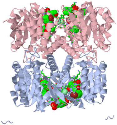 Image Biol. Unit 1 - sites