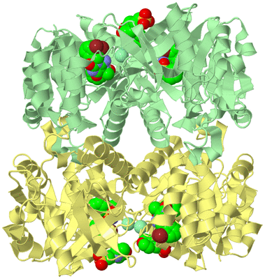 Image Biological Unit 2