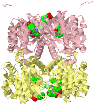 Image Biological Unit 2