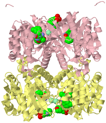 Image Biological Unit 1