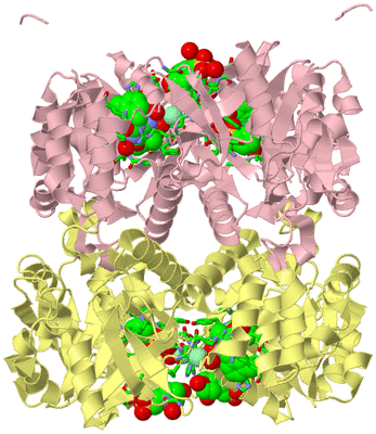 Image Biol. Unit 1 - sites