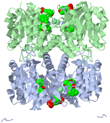 Image Biological Unit 2