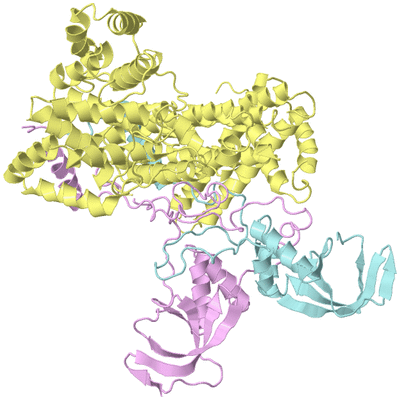 Image Biological Unit 1