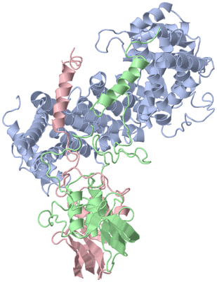 Image Biological Unit 2