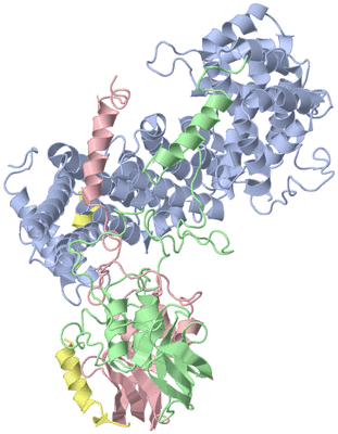 Image Biological Unit 1