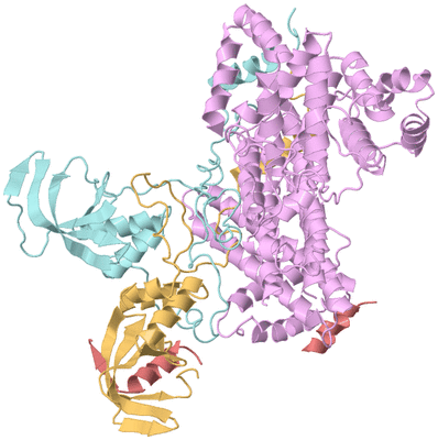 Image Biological Unit 2