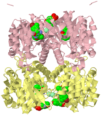 Image Biological Unit 1