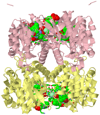 Image Biol. Unit 1 - sites