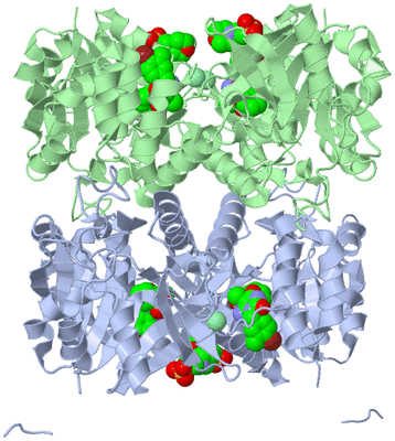 Image Biological Unit 2