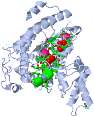 Image Biol. Unit 1 - sites