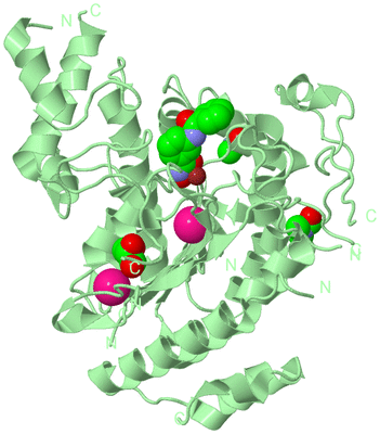 Image Biological Unit 2