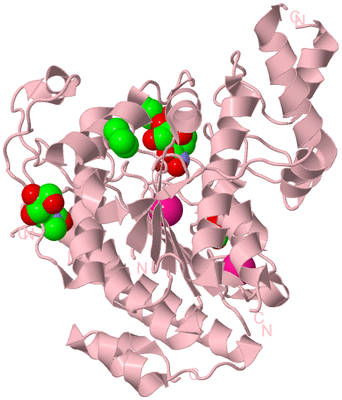 Image Biological Unit 3