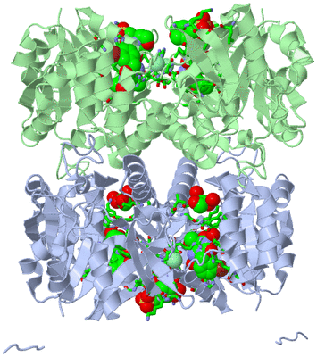 Image Biol. Unit 1 - sites