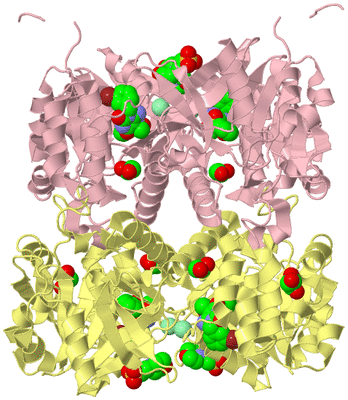 Image Biological Unit 2