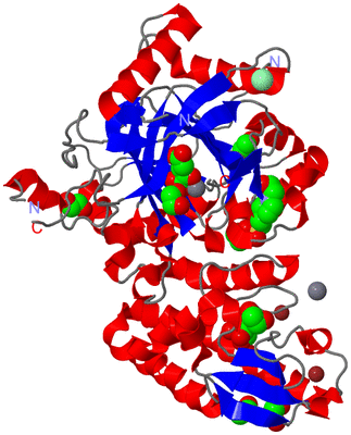 Image Asym./Biol. Unit