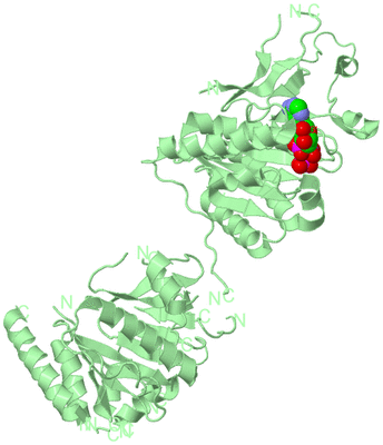 Image Biological Unit 2