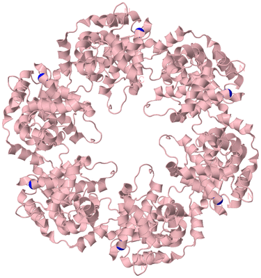 Image Biological Unit 1