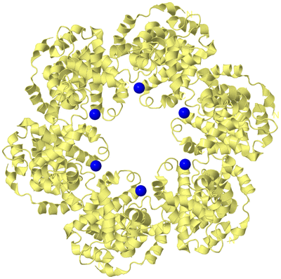 Image Biological Unit 3