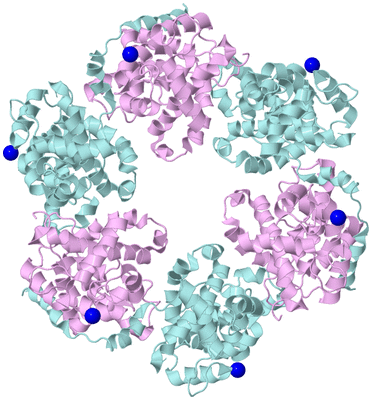 Image Biological Unit 4