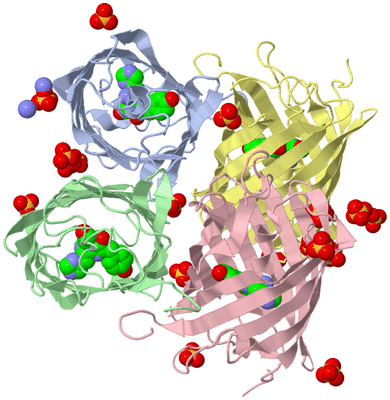 Image Asym./Biol. Unit