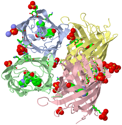 Image Asym./Biol. Unit - sites