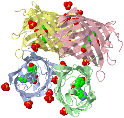 Image Asym./Biol. Unit